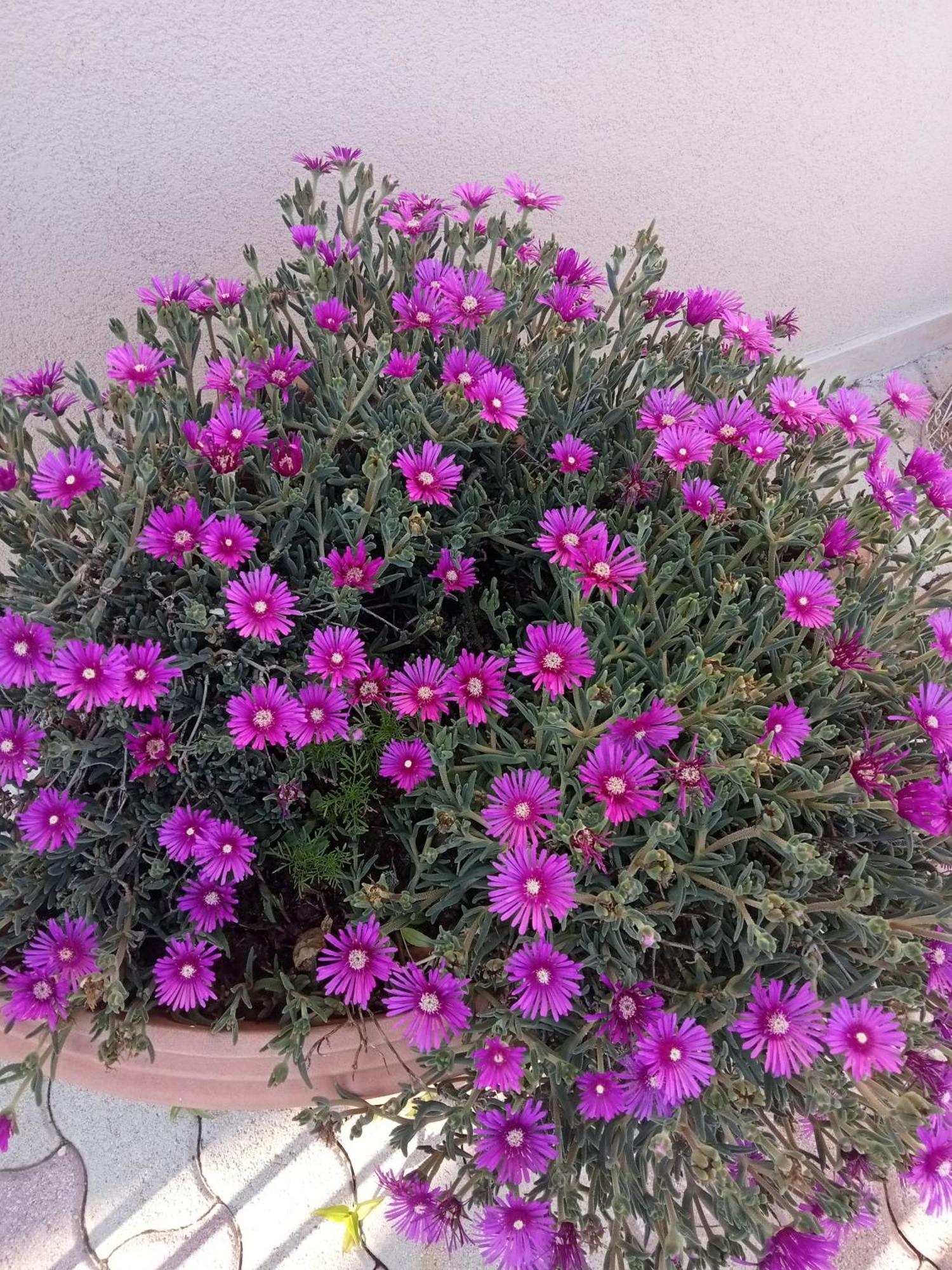 Hotel Porta Rivera Λ' Άκουιλα Εξωτερικό φωτογραφία